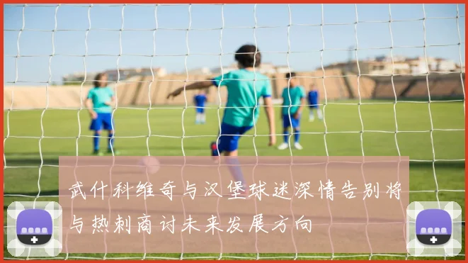 武什科维奇与汉堡球迷深情告别将与热刺商讨未来发展方向