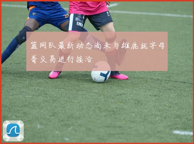 篮网队最新动态尚未与雄鹿就字母哥交易进行接洽