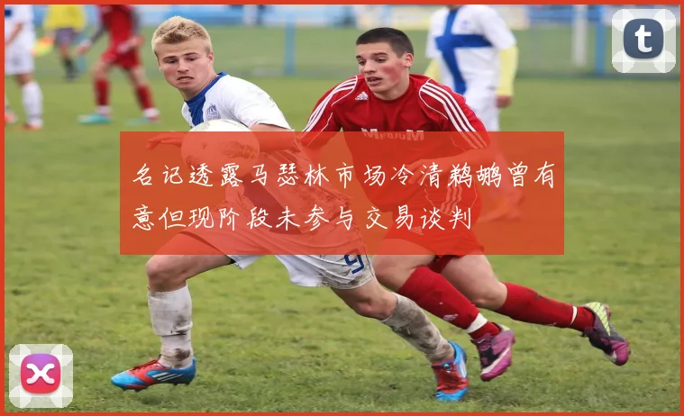 名记透露马瑟林市场冷清鹈鹕曾有意但现阶段未参与交易谈判